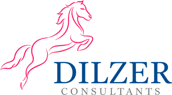 Dilzer Consultants